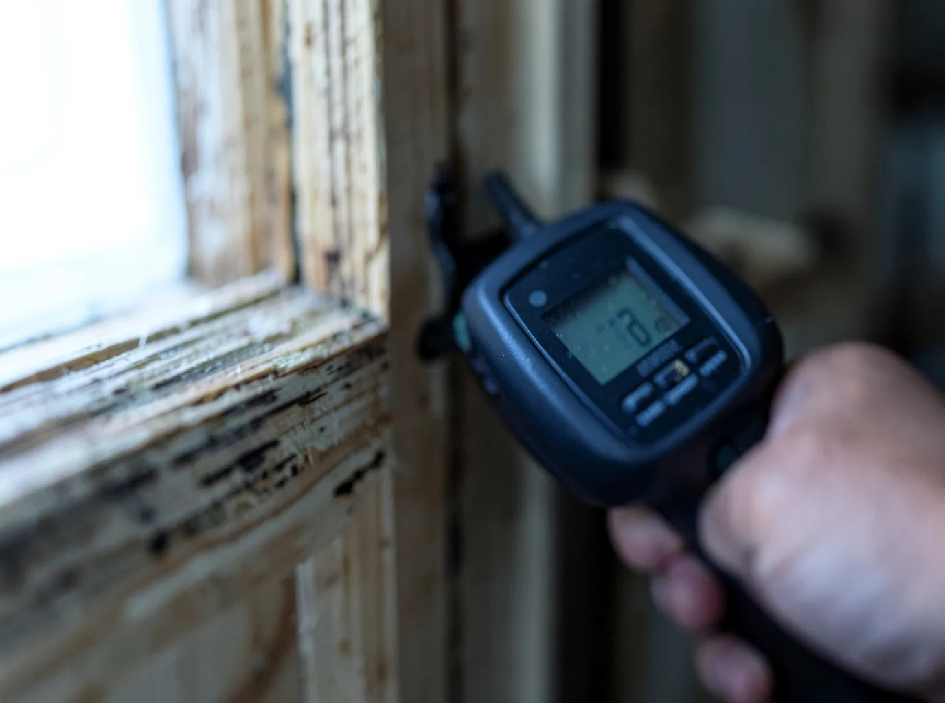 Moisture Inspection And Documentation in Kelley, IA
